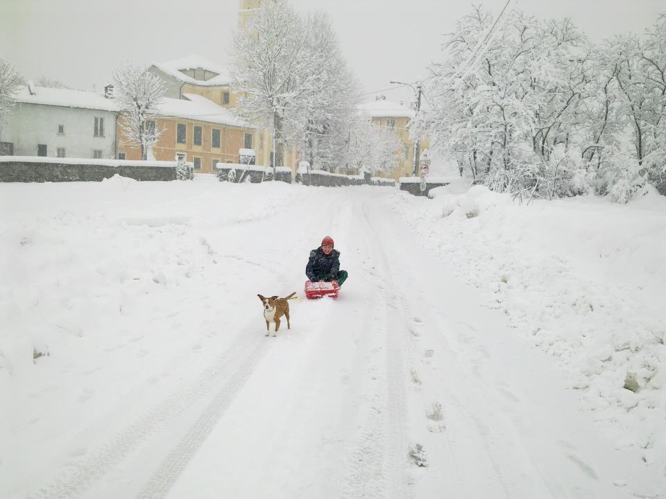 Il Portico Hotel Carrosio Eksteriør billede
